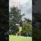 伊賀GC 11H⛳️      #srixon #golf #ゴルフ #打ちっ放し #ゴルフ練習 #ゴルフ女子 #スイング動画 #callaway #キャロウェイ