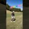 #ゴルフ #ゴルフ練習動画 #ゴルフ女子 #ゴルフスイング #ゴルフレッスン #ゴルフ初心者 #golf #golfswing