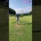 ゴルフシーズン⛳️ナウ➰の件😆ぷんチャンないすチョット🌏💕