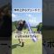 林から⁉️ #ゴルフ #youtube #golfswing #ごるふ #ゴルフスイング #ゴルフレッスン #golf #ラウンドレッスン #golfer #golfchannel #fade