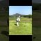 Sayaka Teraoka 寺岡沙弥香  #golf #ゴルフ #ゴルフ女子 #ゴルフ #ゴルフ女子 #ゴルフスイング #ゴルフスイング #golfswing #automobile