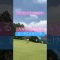 格闘技⁉︎ #ゴルフ #ラウンド #golf #パッティング #チャンネル登録お願いします #格闘技 #ラウンド動画 #youtube #putting #ゴルフ女子 #ゴルフ男子 #パター #天才