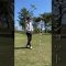 #ショート動画 #ゴルフショート動画 # #ゴルフスイング#ゴルフ #ゴルフレッスン  #スイング練習 #ゴルフ初心者 #飛距離アップ #ゴルフスイング  #golf #golflesson