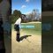 #アプローチ #approach #lpga #ゴルフ #ゴルフ女子 #golfswing #golf #ゴルフスイング #ラウンド動画 #lpgaティーチングプロ #サエッタゴルフスタジオ