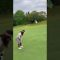 入ったらいいやーん💦 #golf #ゴルフ #golfgear #golfdiary #ゴルフ女子 #golfswing #golfer  #ゴルフスイング #golflife