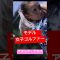 【モデル⁉️ #ゴルフ女子 】 #ゴルフ #golf #lpga #golfer #美女ゴルファー #美女 #美少女 #モデル