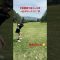 ゴルファーなら絶対したことあるよね？このミス#ゴルフ #ゴルフレッスン #ゴルフスイング #ドライバー #golfswing #golf #飛距離