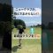#ゴルフ #youtube #golfswing #ごるふ #ゴルフスイング #ゴルフレッスン #ゴルフ女子 #golf #ラウンドレッスン #golfer #golfchannel