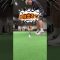 シングルプレーヤーのパター練習⛳️#ゴルフ #ゴルフ女子 #ゴルフボーイ #ゴルフは誰でも上手くなる #ピッチマークを直そう