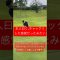 チャックリ⁉︎ #ゴルフ #ラウンド #チャンネル登録お願いします #ゴルフ女子 #golf #ラウンド動画 #アプローチショット #youtube #ミスショット #登録よろしく #お願いします