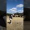 #lpga #ゴルフ #pgaティーチングプロ #ゴルフ女子 #ゴルフスイング #スイングトップ #ティーショット#golf#golfswing