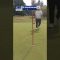 【4K映像】解説付きTee to reality　玉造ゴルフ倶楽部 若海コース~70台のリアル~　#golf  #ゴルフ  #ゴルフレッスン  #golfswing #ゴルフ女子#リオレコ
