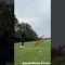 ちょっとダフリ気味だけど、、🥺#golf #golfswing #golfgear #golfdiary #ゴルフ #ゴルフ女子 # #ゴルフスイング #golflife #golfer