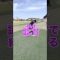 謎の一言で締める…⛳️#ゴルフ#golf#ゴルフ女子 #50代