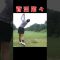 菅沼菜々 Nana Suganuma #golf #てげてげゴルフch #ゴルフ #スイングトップ #golfswing #pgaティーチングプロ #ゴルフ女子 #ペーちゃんネルgolf