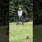 やっぱりコースは楽しいね🎶#ゴルフ女子 #ゴルフ #shortvideo #shortsvideo #golf #golfswing #ギャツビイゴルフクラブ#ゴルフ初心者