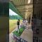 リズム大切よね🎶#ゴルフ女子 #ゴルフ #ゴルフスイング #shortvideo #golf #golfswing