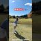 これは風のせいだっ🌪️ #shorts #golf #golfswing #ゴルフ #ゴルフスイング #ゴルフ女子