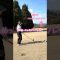 ほぼストレートじゃーん😅 #ゴルフ #lpga #ゴルフ女子 #ゴルフスイング #golf #golfswing #ラウンド動画 #ドライバー  #driver #サエッタゴルフスタジオ