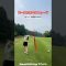 コルセットは無敵！！笑　#shorts #golf #golfswing #ゴルフ #ゴルフスイング #ゴルフ女子