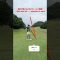 Beginner Girl’s Golf⛳️ #ゴルフ #ゴルフスイング #pgaティーチングプロ #ゴルフ女子 #スイングトップ #golfswing #みんなのgolf5