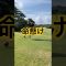早朝ハーフ最終ホール　#ゴルフ女子  #ゴルフ初心者  #娘とゴルフ  #ティーショット #琴平カントリークラブ