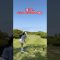 飛んだ！！🤝🏻　#shorts #golf #golfswing #ゴルフ #ゴルフスイング #ゴルフ女子