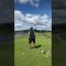 #ゴルフ男子 #golf #ゴルフ #ゴルフ女子 #ゴルフスイング #やじゴルTV#夫婦ゴルファー#休日ゴルフ #猛暑ゴルフ