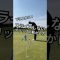スライスしないグリップの動かし方⛳️ #ゴルフコーチ #ゴルフレッスン
