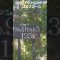 XXIO X  メンズクラブ　大磯プリンスホテルゴルフコース　ラウンド中　No.9 PAR3 #shorts#golf
