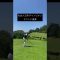 【社会人日本チャンピオンラウンド風景】 #ゴルフ #スイングトップ #社会人 #golf #ゴルフスイング #ゴルフ女子 #golfswing #ドライバー