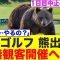 女子ゴルフ、熊出現も無観客で開催強行へ…【明治安田レディス/JLPGA】
