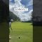鹿方向に打っていく…？#ゴルフ #ゴルフレッスン #ゴルフスイング #golf #shorts