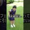 沈んでるラフの打ち方 #ゴルフ #女子ゴルフ