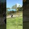 #アプローチ #スロー動画 #ウェッジ #lpga #ゴルフ #ゴルフスイング #ゴルフ女子 #golfswing #golf #ラウンド動画 #サエッタゴルフスタジオ #approach