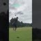 グロワールGC金剛6H #ゴルフ #パッティング #ドローボール #ゴルフ練習 #ゴルフ女子 #golf #callaway #打ちっ放し #スイング動画 #ゴルフ動画