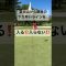 めちゃくちゃ早いライン… #ゴルフ #golfchannel #golfshorts #youtube #ゴルフ女子 #golflesson #golf #ごるふ #ゴルフ好きな人と繋がりたい