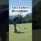 par puttは入るあるある⁉️ #youtube #ゴルフ #golfchannel #golfshorts #ゴルフレッスン #golf #ごるふ #あるある #ラウンドレッスン #ゴルフ好き
