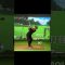 インドアゴルフのリアル　トラックマン編2#ゴルフ#ゴルフスイング #ゴルフ女子 #pgaティーチングプロ #pga #福岡#インドアゴルフ #甲子園 #ゴルフ初心者 #ゴルフレッスン #ゴルフ練習
