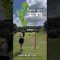 【イーグルホール🦅】 劇的更新‼️ベスト66出ました⛳️‼️ダブルススクランブル練習👯‍♀️#埼玉県草加市 【体育教師✖︎レッスンプロ】#short #shorts #golf #高尔夫 #ゴルフ