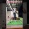右手のグリップの重要性！#ゴルフ #ゴルフスイング #golf #golfswing #golfer #ゴルフレッスン #shorts #short #shortvideo #shortsvideo