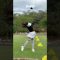 ハワイゴルフ合宿⛳️🌺 #shorts #ゴルフ #ゴルフ女子 #ゴルフスイング #瀬戸晴加