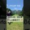straight fade #ゴルフ #youtube #ゴルフスイング #golfchannel #ドライバーショット #golfshorts #ごるふ #golf #ゴルフレッスン #上級者