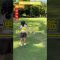 8/17門司⑨ #ゴルフ #golf#ゴルフキッズ #ゴルフスイング #ゴルフ女子 #ゴルフラウンド #7歳女の子 #門司ゴルフ倶楽部 #北九州 #ミドルホール #ベスト更新 #お疲れ様