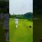 初心者女子ゴルフ　人生初バーディー⛳️ #ゴルフ #ゴルフスイング #pgaティーチングプロ #golfswing #スイングトップ #ゴルフ女子 #みんなのgolf5
