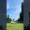 Golf in rhythm, with grace.