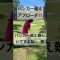 フワッとアプローチ⁉️ #ゴルフ #golfshorts #golfchannel #youtube #ゴルフ女子 #ショート #golf #ごるふ #shorts #approach #難しい