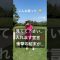 カップイン宣言⁉️ #ゴルフ #youtube #golfchannel #ゴルフ女子 #ごるふ #golf #golfshorts #ゴルフレッスン #ラウンド動画 #宣言 #shorts