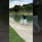 これってバンカー？それとも池？ #ゴルフ #golf男子 #golf女子 #ゴルフスイング #プロザルゴルフ#アプローチ#チャンネル登録高評価よろしくお願いします
