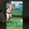 ボギーまとめ　1-2/2　 #golf #ゴルフ #ゴルフ女子 #みんなのgolf5 #ゴルフスイング #スイングトップ #golfswing